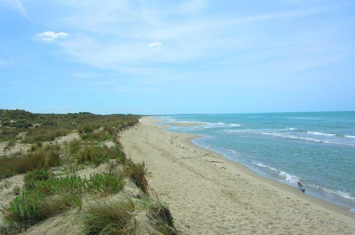 Camping Internazionale di Castelfusano